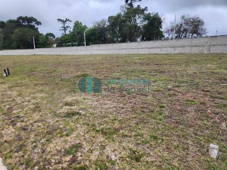 Foto 25 do(a) Terreno false à venda em Aviação, São José dos Pinhais