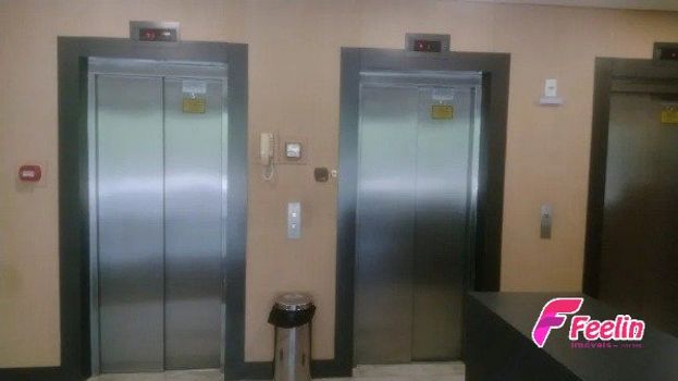 Foto 4 do(a) Sala / Conjunto Comercial false à venda em Carvoeira, Florianópolis
