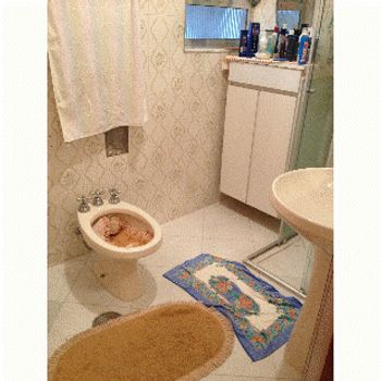 Foto 7 do(a) Apartamento de 2 quartos à venda em Aclimação, São Paulo