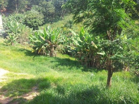Foto 1 do(a) Fazenda / Sítio / Chácara false à venda em Jardim Califórnia, Barueri