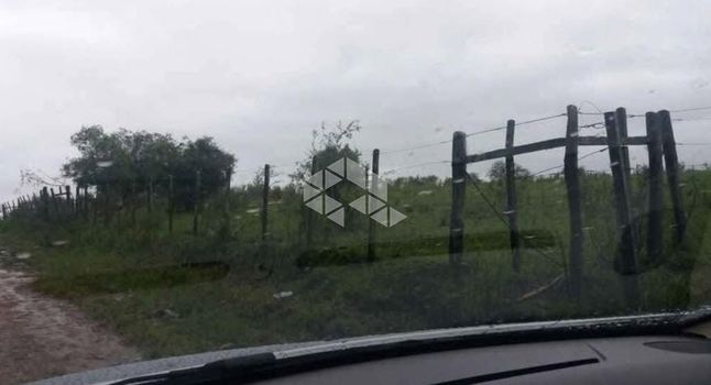 Foto 7 do(a) Terreno false à venda em Arvorezinha, Bagé
