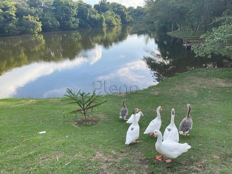 Foto 1 do(a) Casa em Condomínio false à venda em Jardim Imperial, Indaiatuba