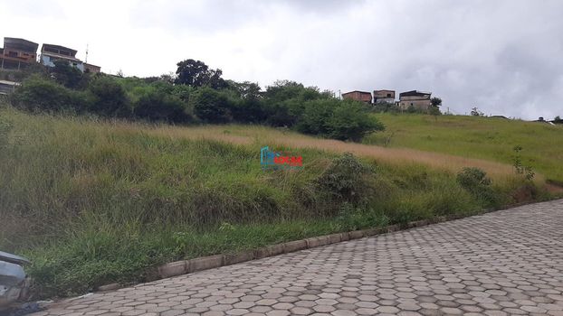 Foto 1 do(a) Fazenda / Sítio / Chácara false à venda em Campos Elísios, João Monlevade