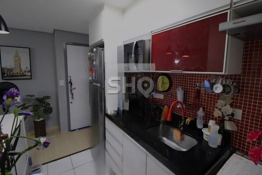 Foto 11 do(a) Apartamento de 3 quartos à venda em Vila Amália (Zona Norte), São Paulo