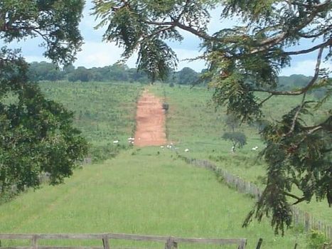 Foto 18 do(a) Fazenda / Sítio / Chácara false à venda em null, Ribas do Rio Pardo