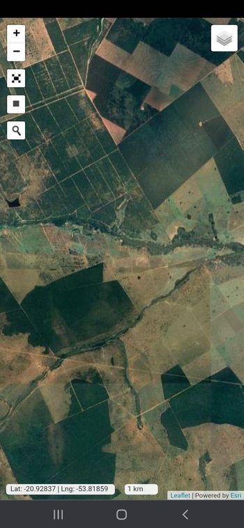 Foto 16 do(a) Fazenda / Sítio / Chácara false à venda em null, Ribas do Rio Pardo