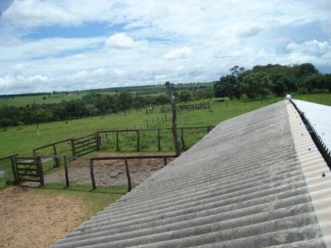 Foto 17 do(a) Fazenda / Sítio / Chácara false à venda em null, Ribas do Rio Pardo