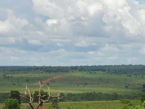 Foto 8 do(a) Fazenda / Sítio / Chácara false à venda em null, Ribas do Rio Pardo