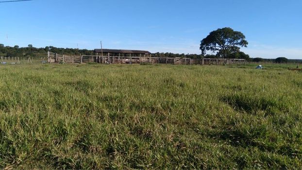 Foto 14 do(a) Fazenda / Sítio / Chácara false à venda em null, Ribas do Rio Pardo