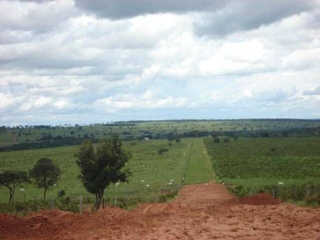 Foto 7 do(a) Fazenda / Sítio / Chácara false à venda em null, Ribas do Rio Pardo