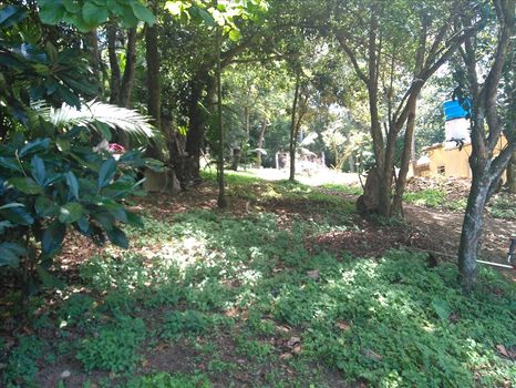 Foto 9 do(a) Casa de 4 quartos à venda em Dos Finco, São Bernardo do Campo