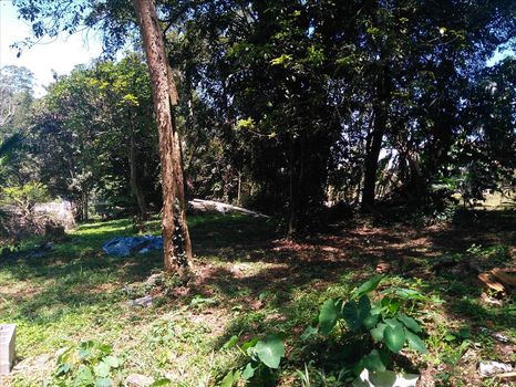 Foto 6 do(a) Casa de 4 quartos à venda em Dos Finco, São Bernardo do Campo