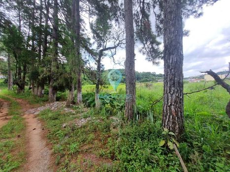 Foto 14 do(a) Fazenda / Sítio / Chácara de 8 quartos à venda em null, Piedade