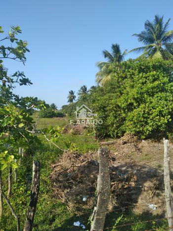 Foto 32 do(a) Terreno false à venda em Zona de Expansão (Areia Branca), Aracaju