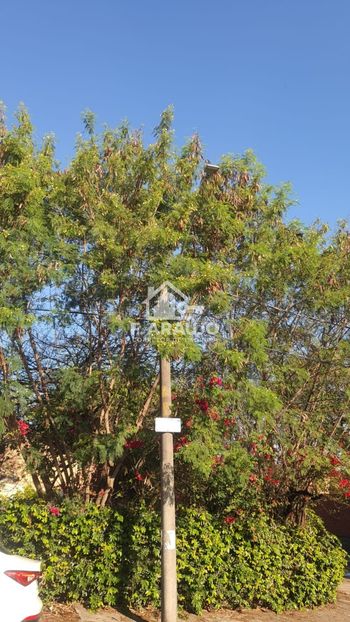 Foto 30 do(a) Terreno false à venda em Zona de Expansão (Areia Branca), Aracaju