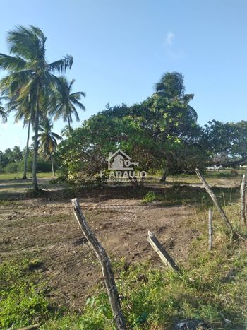 Foto 8 do(a) Terreno false à venda em Zona de Expansão (Areia Branca), Aracaju