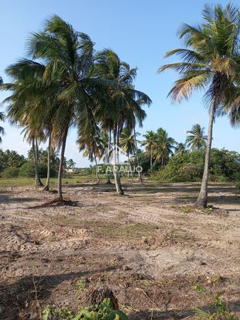 Foto 28 do(a) Terreno false à venda em Zona de Expansão (Areia Branca), Aracaju