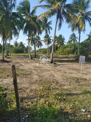 Foto 7 do(a) Terreno false à venda em Zona de Expansão (Areia Branca), Aracaju