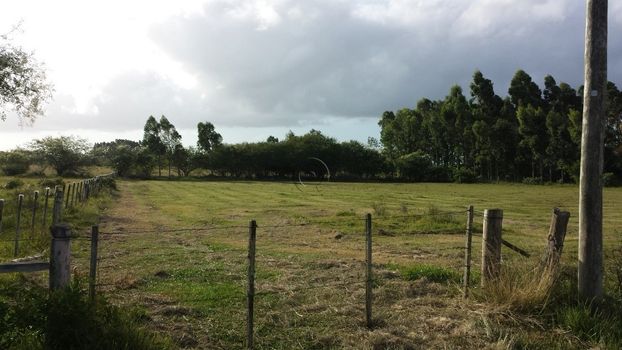 Foto 2 do(a) Fazenda / Sítio / Chácara false à venda em Povo Novo, Rio Grande