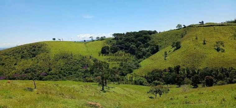 Foto 36 do(a) Fazenda / Sítio / Chácara de 4 quartos à venda em null, Cunha