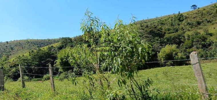 Foto 33 do(a) Fazenda / Sítio / Chácara de 4 quartos à venda em null, Cunha