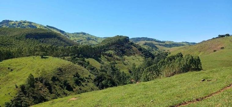 Foto 34 do(a) Fazenda / Sítio / Chácara de 4 quartos à venda em null, Cunha