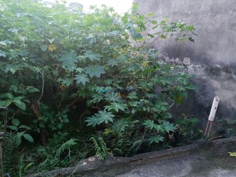 Foto 2 do(a) Terreno false à venda em Jardim Botucatu, São Paulo