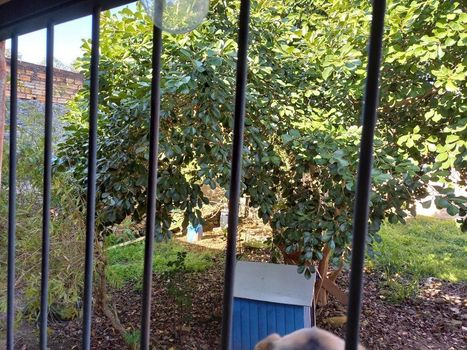 Foto 7 do(a) Casa em Condomínio de 3 quartos à venda em Centro, Santana do Livramento