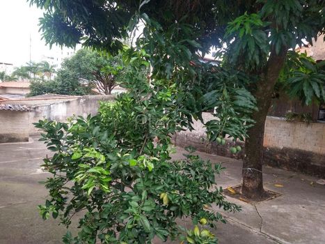 Foto 13 do(a) Casa em Condomínio false à venda em Jardim Nova Europa, Campinas