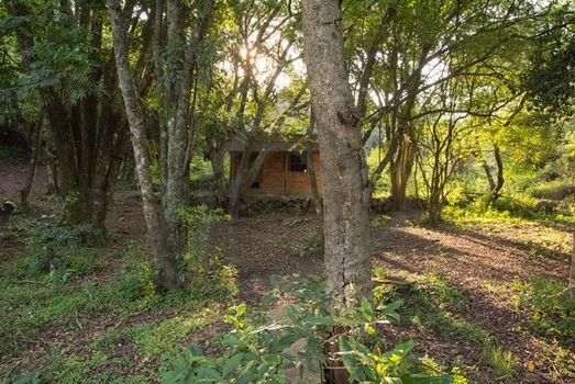 Foto 15 do(a) Fazenda / Sítio / Chácara de 3 quartos à venda em Campo Novo, Porto Alegre
