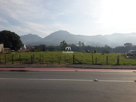 Foto 2 do(a) Terreno false à venda em Ilha da Figueira, Jaraguá do Sul