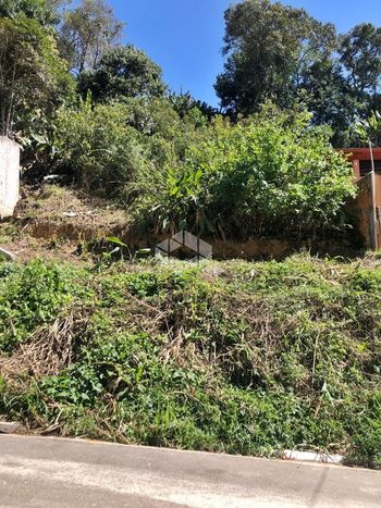 Foto 4 do(a) Terreno false à venda em Capoavinha, Mairiporã
