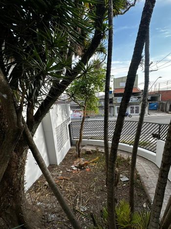 Foto 34 do(a) Casa de 3 quartos à venda em Vila Palmares, Santo André