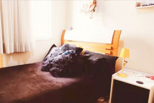 Foto 10 do(a) Apartamento de 3 quartos à venda em Ipiranga, São Paulo