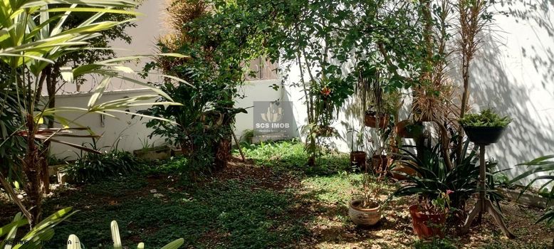 Foto 16 do(a) Casa de 3 quartos para alugar em Campestre, Santo André