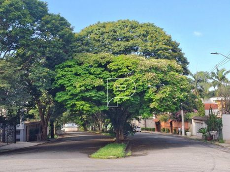 Foto 26 do(a) Terreno false à venda em Adalgisa, Osasco