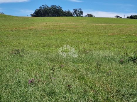 Foto 1 do(a) Fazenda / Sítio / Chácara false à venda em null, Glorinha