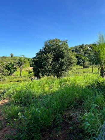 Foto 12 do(a) Fazenda / Sítio / Chácara de 3 quartos à venda em null, Flexeiras