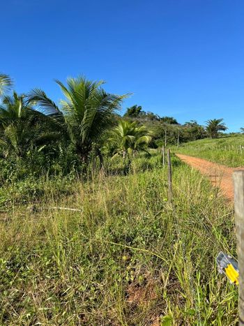 Foto 7 do(a) Fazenda / Sítio / Chácara de 3 quartos à venda em null, Flexeiras