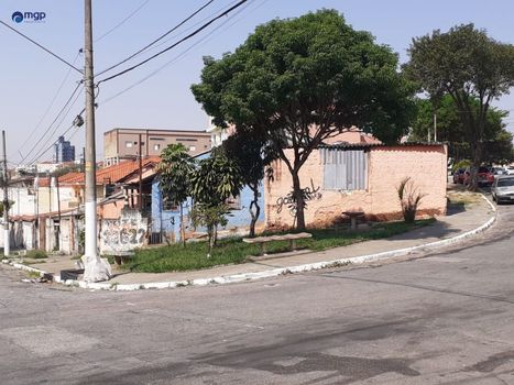Foto 3 do(a) Terreno false à venda em Vila Maria Alta, São Paulo