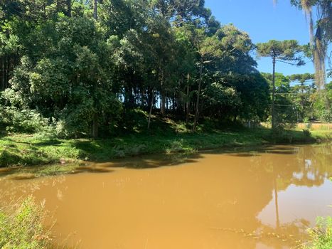 Foto 19 do(a) Terreno false à venda em Veneza, Fazenda Rio Grande