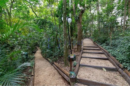 Foto 49 do(a) Apartamento de 2 quartos à venda em Parque do Morumbi, São Paulo