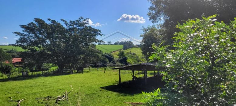 Foto 4 do(a) Fazenda / Sítio / Chácara false à venda em Área Rural de Pederneiras, Pederneiras