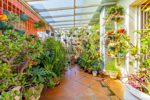 Foto 41 do(a) Casa de 5 quartos à venda em Jardim Luzitânia, São Paulo