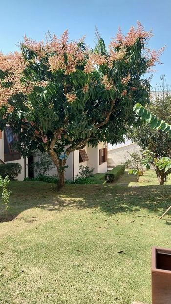 Foto 25 do(a) Casa de 4 quartos à venda em Parque dos Lagos, Mogi das Cruzes