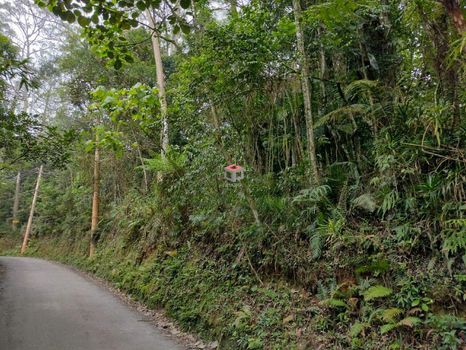 Foto 4 do(a) Terreno false à venda em Parque Botujuru, São Bernardo do Campo