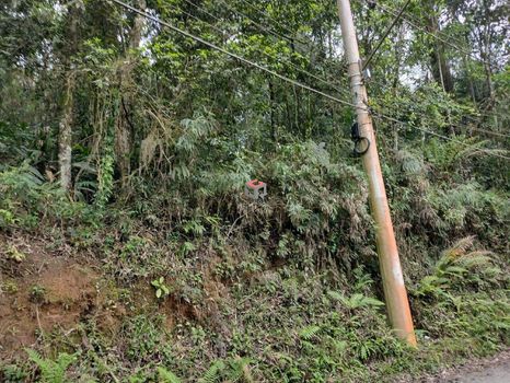 Foto 6 do(a) Terreno false à venda em Parque Botujuru, São Bernardo do Campo