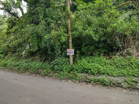 Foto 10 do(a) Terreno false à venda em Parque Botujuru, São Bernardo do Campo
