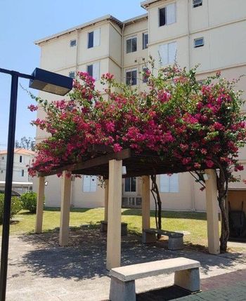 Foto 26 do(a) Apartamento de 3 quartos à venda em Vila Marieta, Campinas