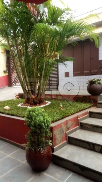 Foto 12 do(a) Apartamento de 3 quartos à venda em Vila Alto de Santo André, Santo André